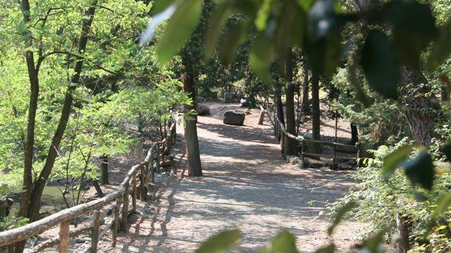 Si smarrisce nel bosco durante la Maratonina