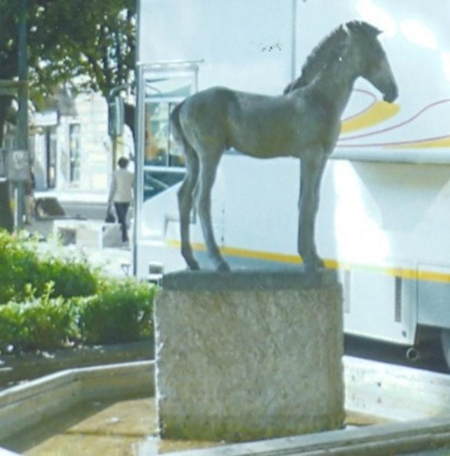 Turista con il figlio rischia di rompere il “cavallino” 