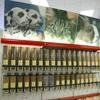 Un supermercato per animali nell’ex Nencini Sport 