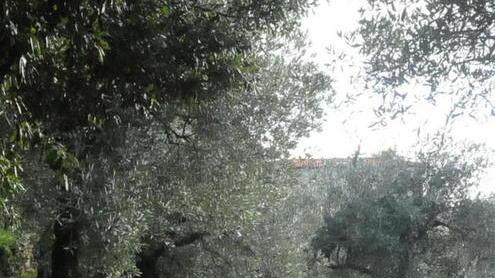 «Calesh, non mollare. Siamo tutti con te»
