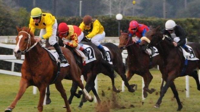 Ippica, due handicap di pregio a S. Rossore