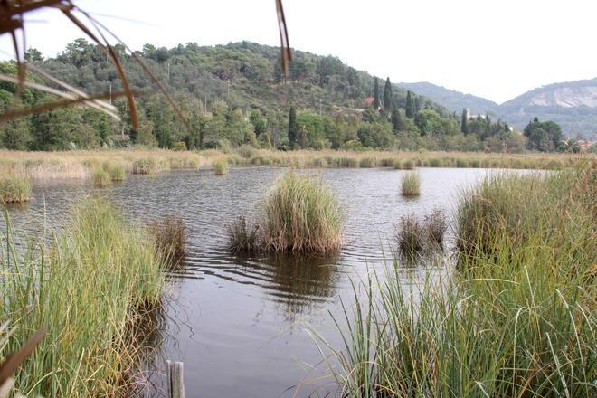 Marocchino trovato morto nelle acque del Padule: è mistero 