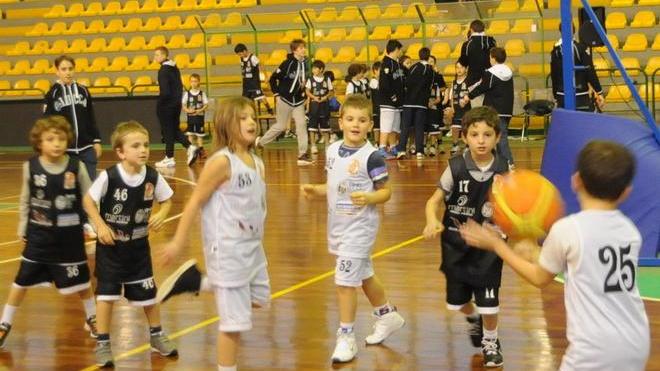 Festa al freddo per i bimbi del minibasket