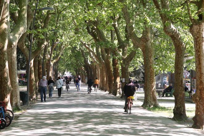 Arrestato stupratore seriale: contro di lui le accuse di due donne 