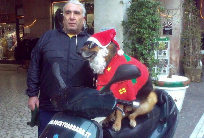 Gli auguri di “Babbo Natale” Rocky