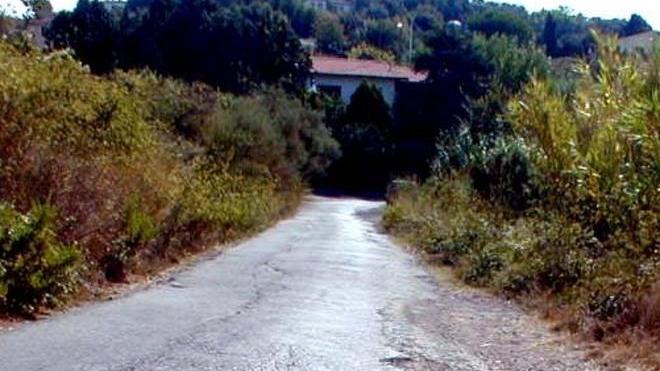 I ladri forzano la porta mentre la mamma allatta