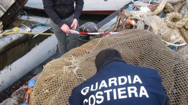 Capitaneria sequestra 500 chili di pescato