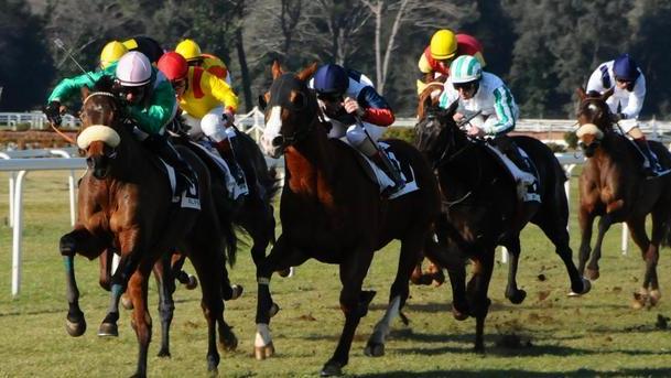 San Rossore si fa in due Si corre oggi e anche il 26