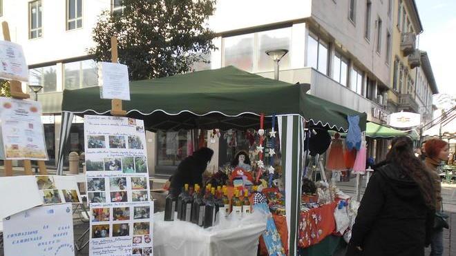 In calesse o in spider Babbo Natale arriva tra i bimbi delle scuole