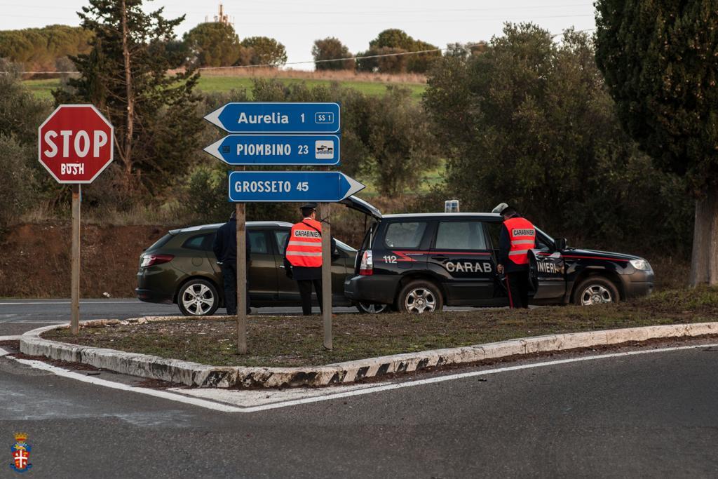 Controlli a tappeto dei carabinieri, ritrovati i colombi rubati
