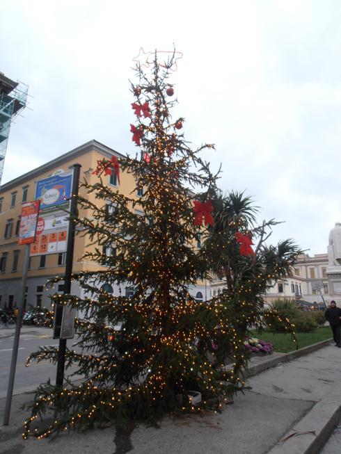Albero di Natale in piazza Cavour, tornano almeno le luci