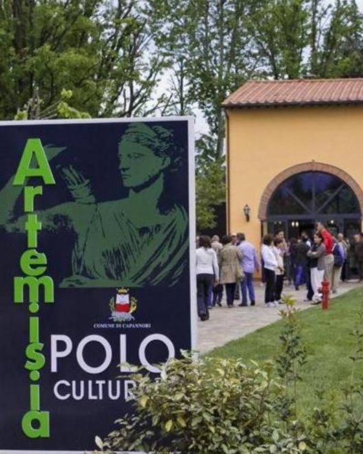Aumentano gli utenti della biblioteca Artemisia