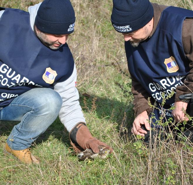 Protezione animali è la parola d’ordine Ecco i numeri