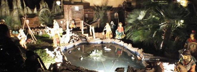 Le papere nel laghetto tra i pastori in via dell’Arsenale