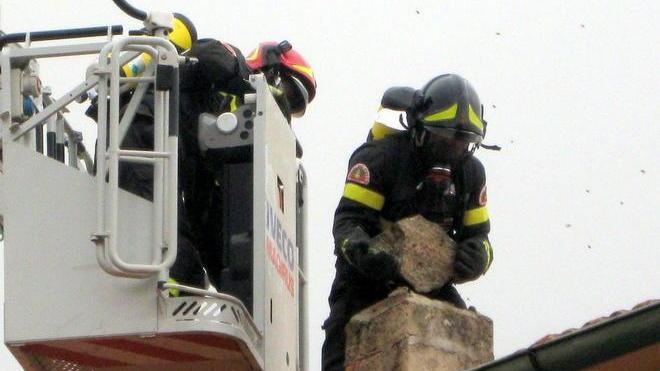 Caso-bofonchi, ordinanza per eliminare i nidi