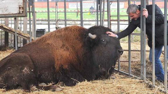 Circo, nuova fumata nera ma potrà regolarizzarsi