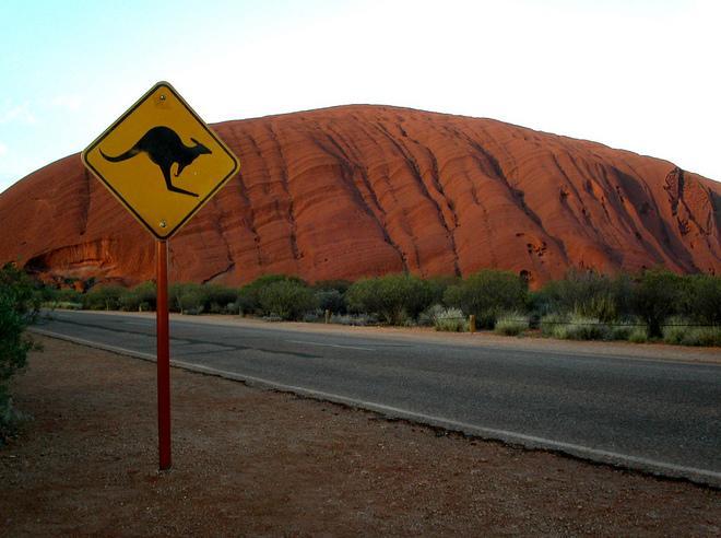Kangaroos crossing, quando un viaggio d’amore diventa un’occasione di scoperta di sé