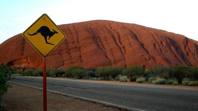 Kangaroos crossing, quando un viaggio d’amore diventa un’occasione di scoperta di sé