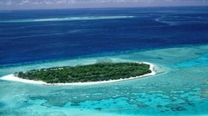 «Amore, vado a vivere a Tonga e gli insegno l’arte del cacciucco»
