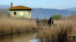 Interrotta una messa nera al Padule di Fucecchio