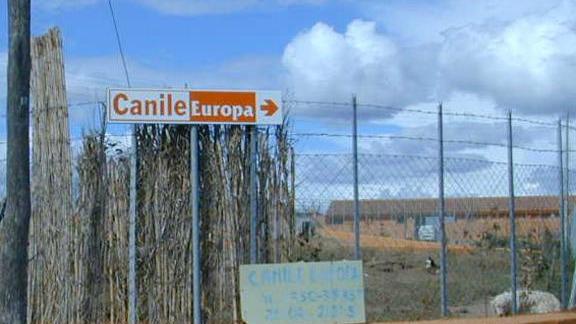 Maltrattamenti nel canile Europa: assolto il titolare