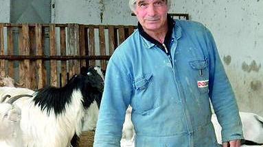 Dopo 40 anni in fabbrica torna a fare il pastore 