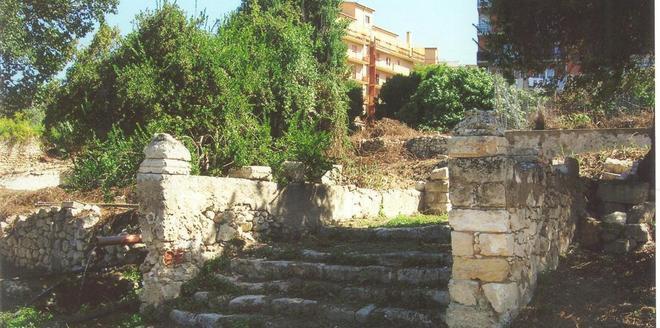 Il Wwf lancia l’allarme sulle biomasse 