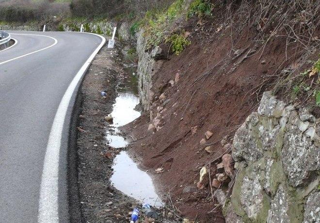 Le orchidee selvatiche annientate dai diserbanti 