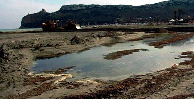 Ripascimento, condannati a risarcire 