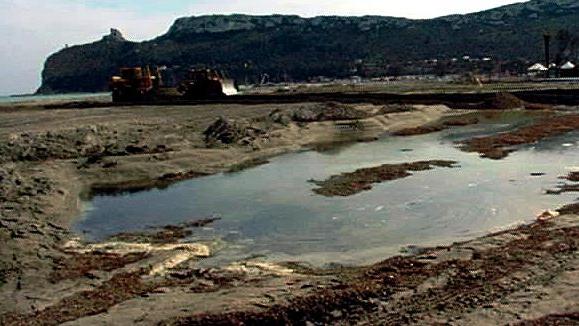 Ripascimento, condannati a risarcire