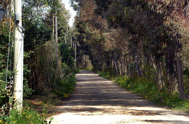 Il Pdl attacca: «Troppi ritardi» La giunta: «Aspettiamo il sole»