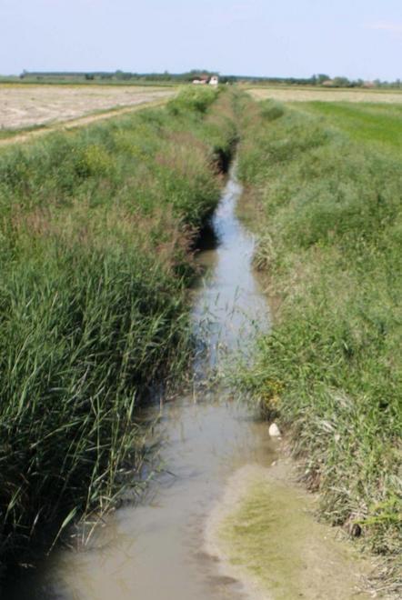 Decreto penale di condanna alla porcilaia “Le Fontanelle”