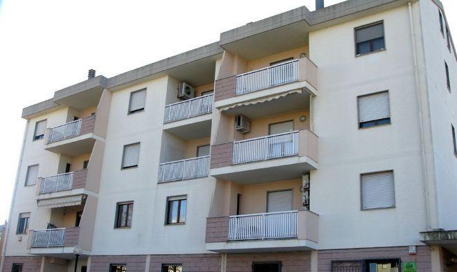 Gatto accende tv con il volume al massimo 