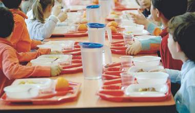 Insetto nel piatto della mensa dalla scuola d’infanzia Betti 
