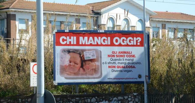 Il manifesto vegano finisce in Procura 