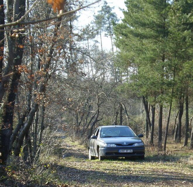 Auto abbandonata in mezzo ai boschi delle Cerbaie