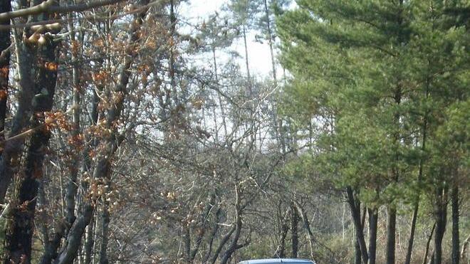 Auto abbandonata in mezzo ai boschi delle Cerbaie