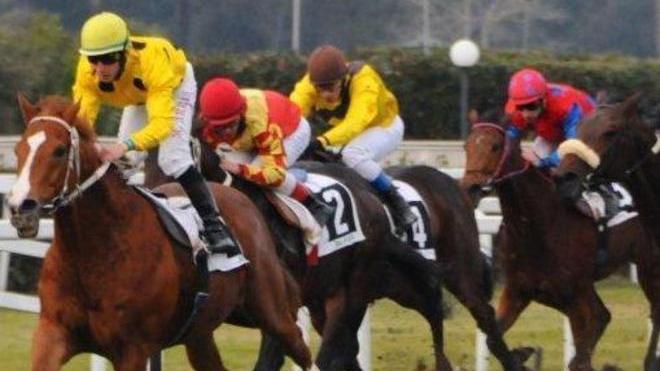 Rook e Andreina due poules di grido oggi a San Rossore 