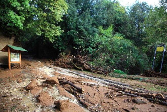 «Il parco a rischio tra un anno Il patto di stabilità ci piega»