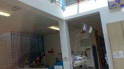 Maestra di 34 anni stroncata da un malore a scuola