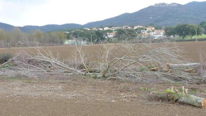 «Sono un errore i lavori del Consorzio»