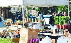 Mercatino, per l’Anva critiche ingenerose 