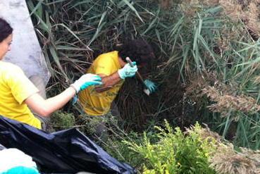 Domenica ecologica con la pulizia alla foce del Serchio 