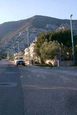 Diecimila euro per la manutenzione del verde urbano