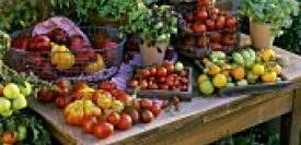 Dal pesce alla frutta, con la spesa in rete risparmi fino al 20% 