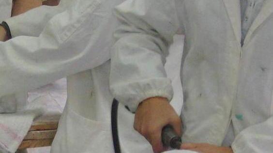 Isis Carducci alla ricerca di tre esperti