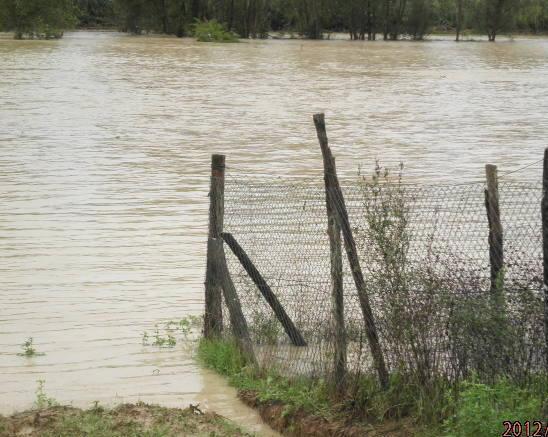 Messa in sicurezza del torrente Egola, gli interventi realizzati in 24 mesi 