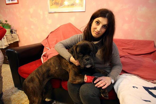 Cane di razza salvato da un bastardino 