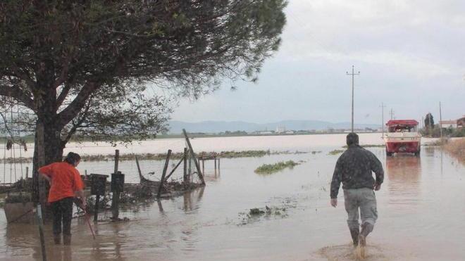 «Costretti ad abbattere i nostri animali»