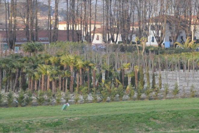 Secco no al trasloco degli stand dei Giochi negli attuali vivai 